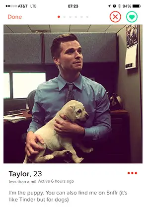 17 BEST TINDER BIOS Of All Time