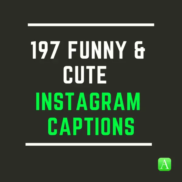 197 Funny & Cute Instagram Captions - Appamatix - All About Apps