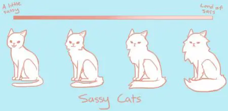 sassy-cats